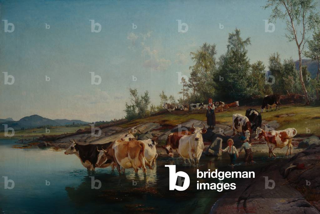 Cows by the sea