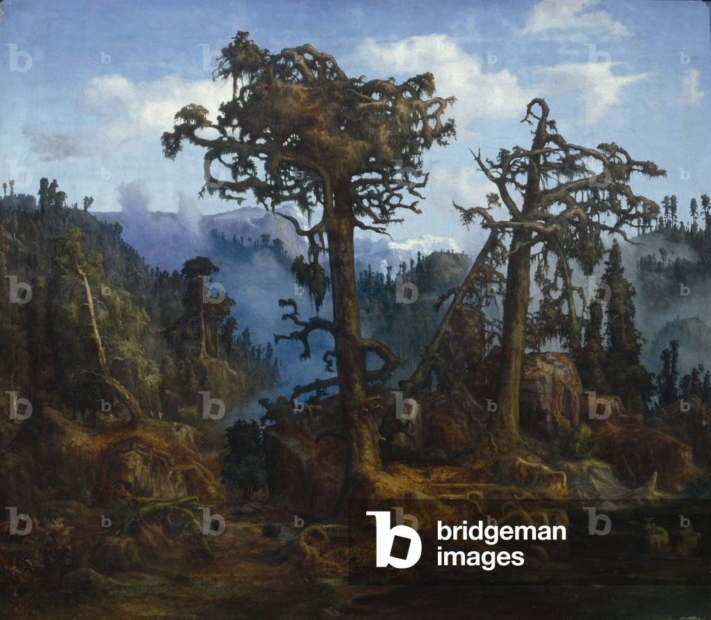 Old Pines, 1865 (oil on canvas)