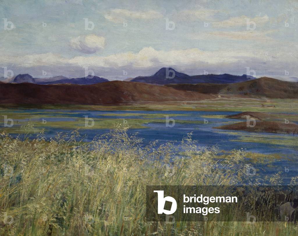 Jær landscape (Landscape from Jæren) (oil on canvas) 