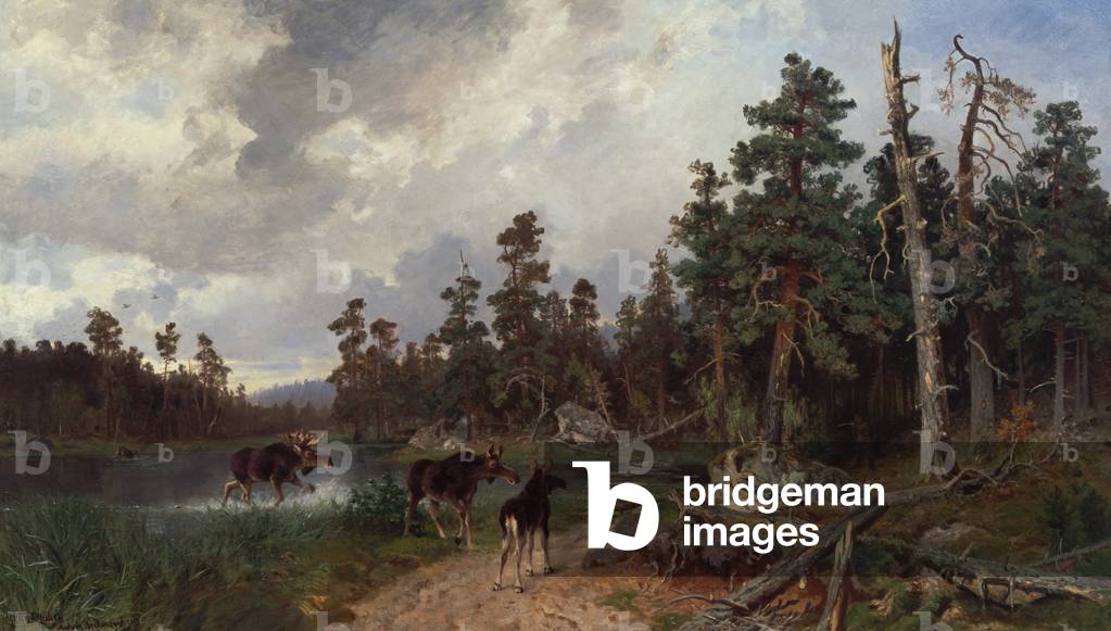 Moose and hunters in pine tree forest , 1881