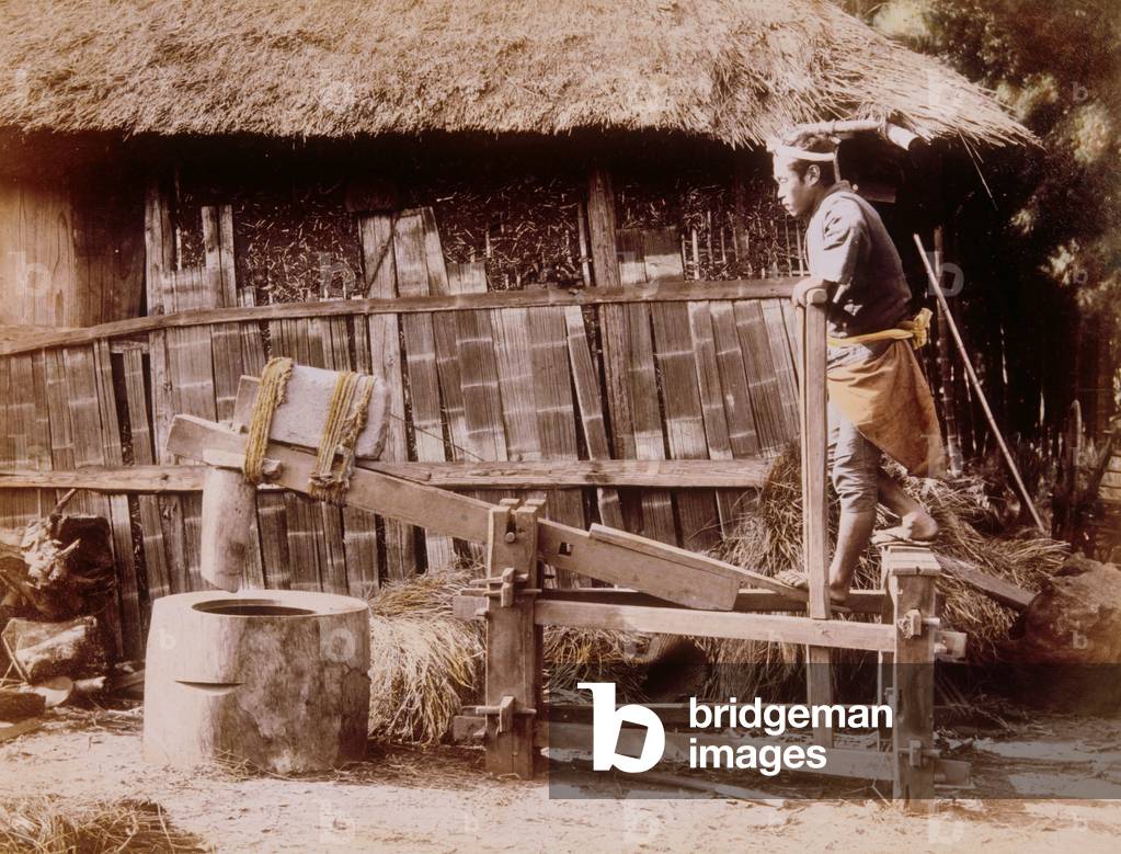Hulling Rice, 1885-1900