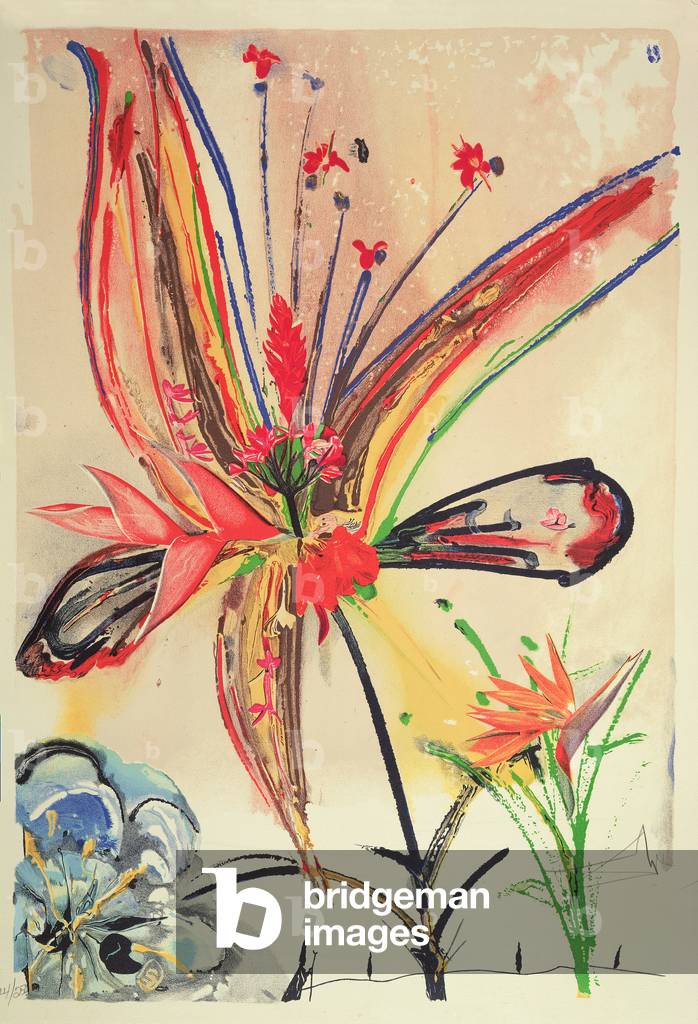 Hawaii Suite, 1973 (color lito)