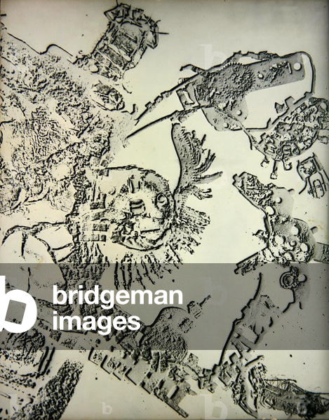 Untitled (photogram)
