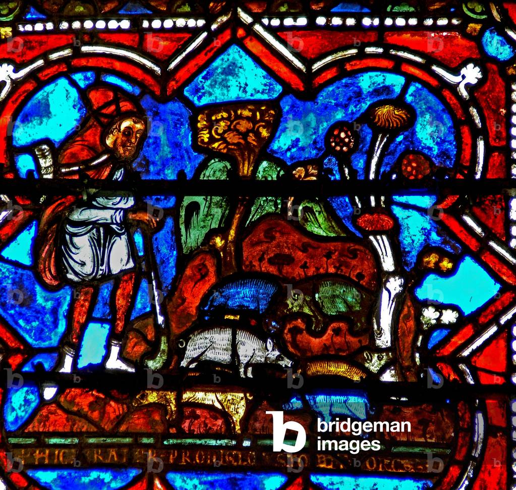 Window w17 depicting a scene from the Prodigal Son story: he finds work looking after pigs (stained glass)