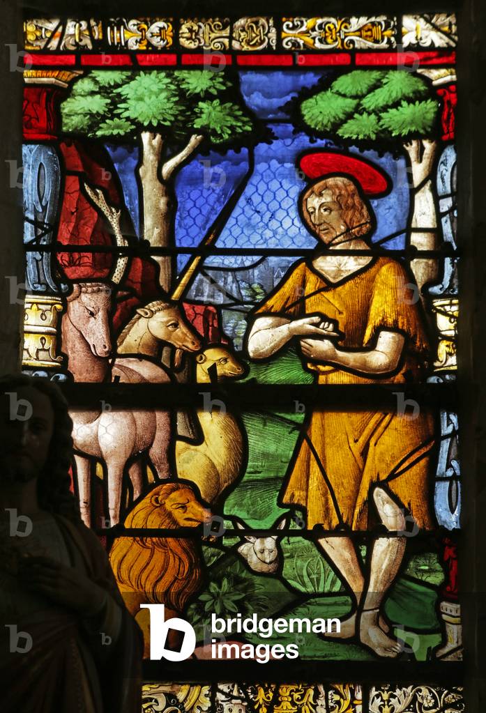 Window depicting Saint John the Baptist in the desert (stained glass)