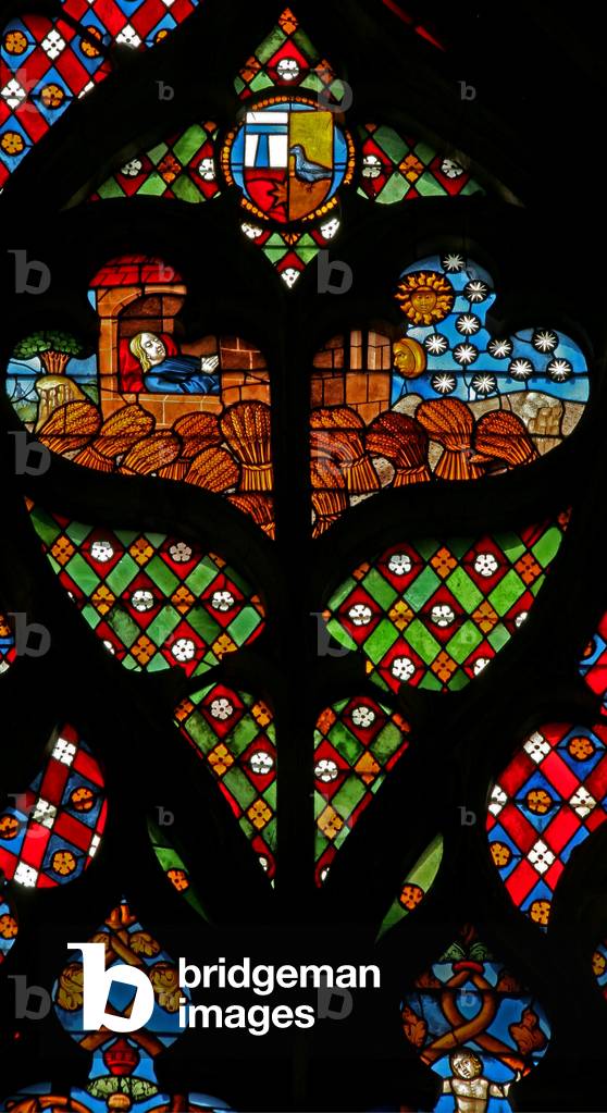 Window w234 depicting a tracery light with Joseph dreaming of the sun,moon and stars, and that his brothers sheaves bow tohim (stained glass)