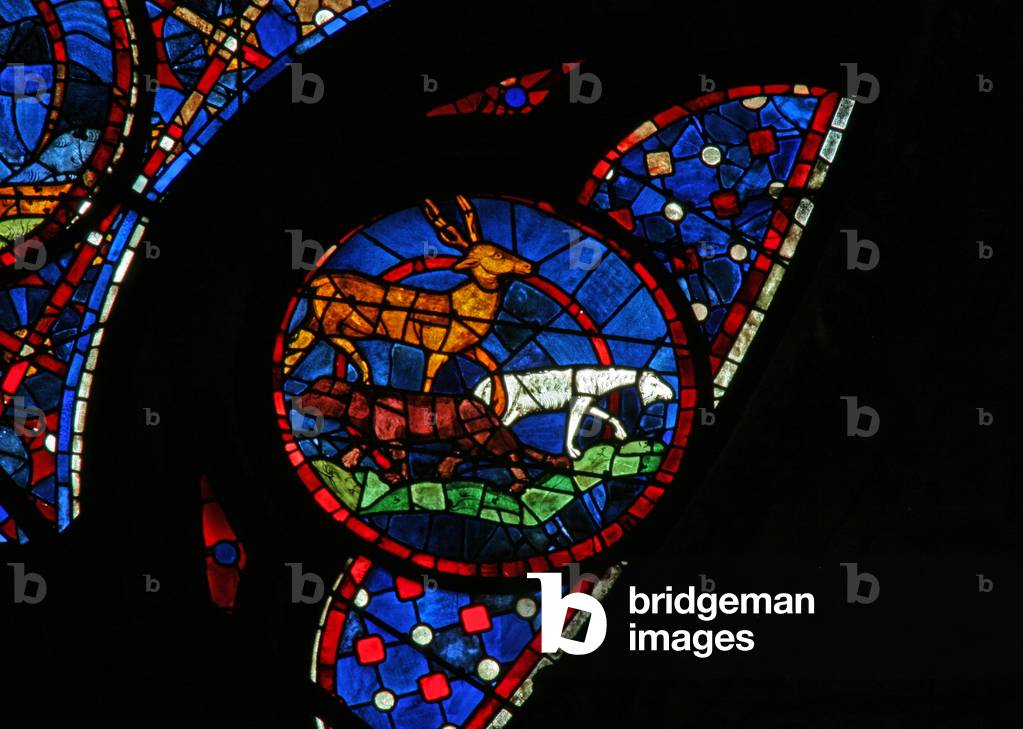 Window w115 depicting the Creation of the animals (stained glass)