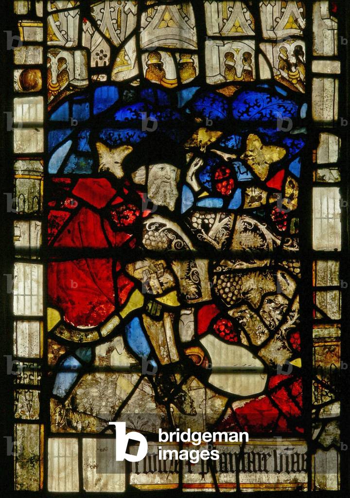 Window S3 depicting the Noah window: Planting the vineyard (stained glass)