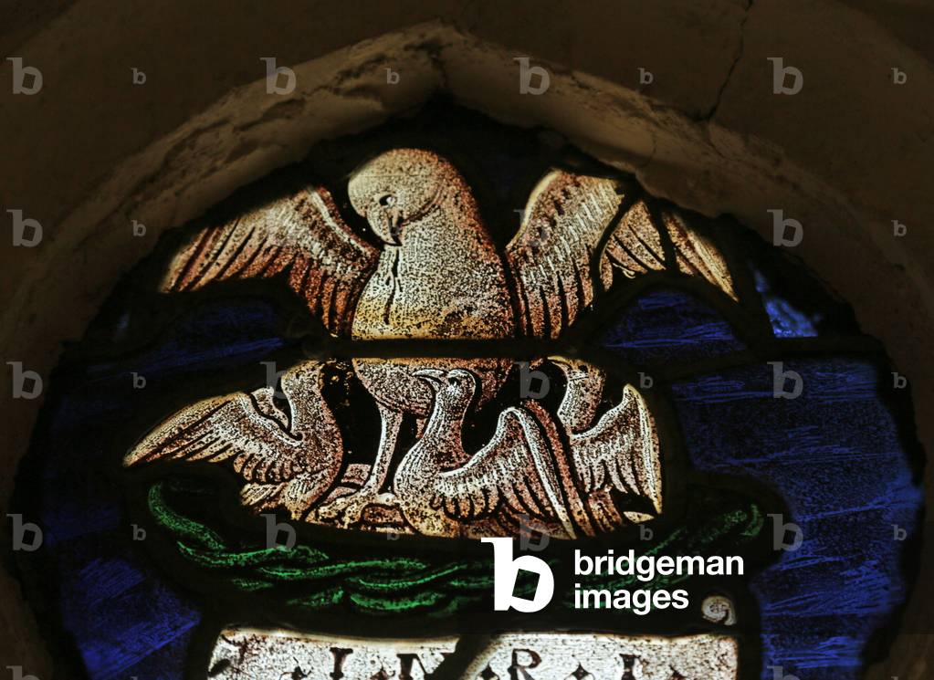Window depicting the Pelican in her Piety (stained glass)