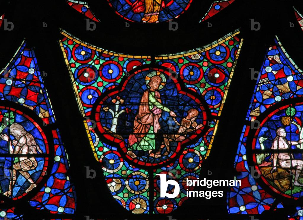 Window w115 depicting the Creation of Adam (stained glass)