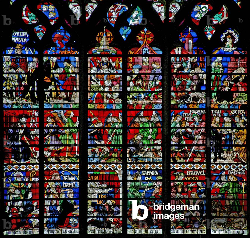 Window w229 depicting the Story of Tobias (stained glass)
