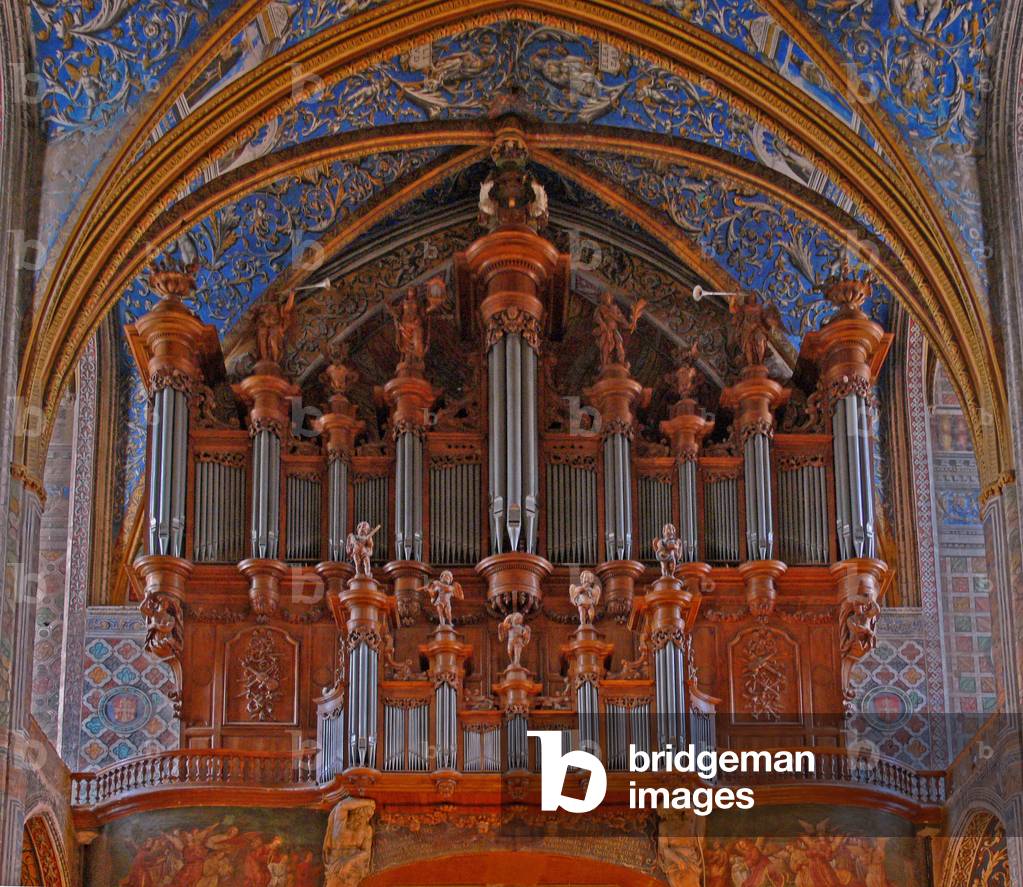 Depicting the organ