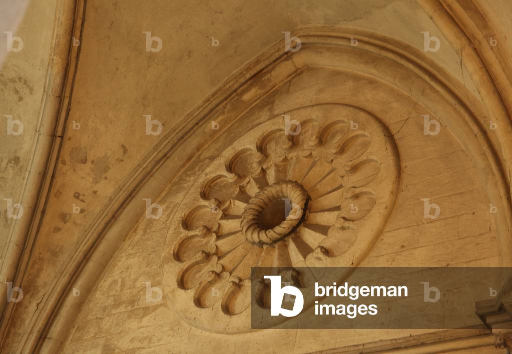Depicting a view of a carved rosace