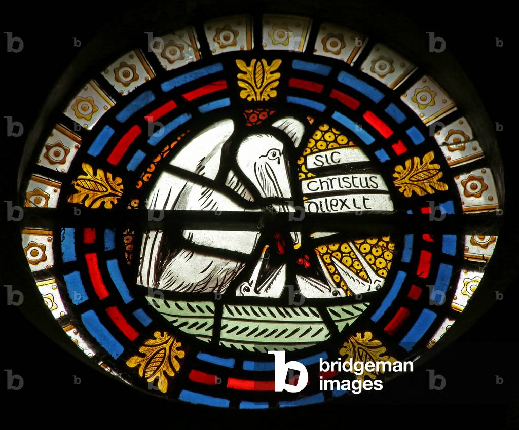 Pelican feeding her young (stained glass)