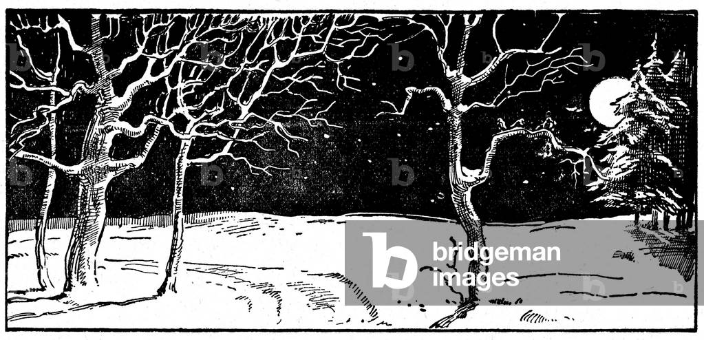 Winter night under snow in the countryside. Full moon. Illustration by Jacoby 1934