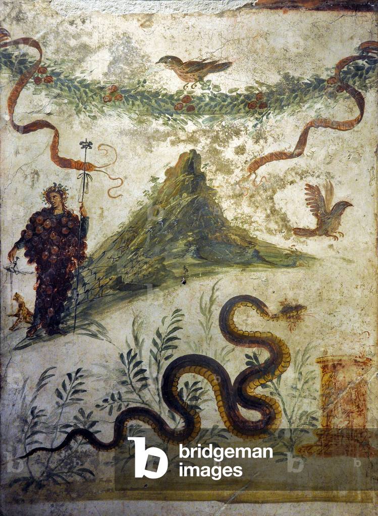 Dionysos vetu of grape clusters standing in front of Mount Vesuve - Fresco from Pompei, casa diel centenario (house of the centenario) - Naples, National Archeological Museum, (Napoli, Museo Archeologico Nazionale) -see also GUT8526 - Photo Patrice Cartier -