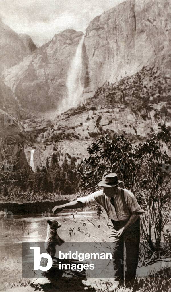 Tame bear in the Yellowstone National Park (Sanctuary - Sanctuary - National Park) (USA, Rocky Mountains). A bear is good enough to have a sugar offered by its trainer. Photograph (not signed) published in the magazine “” Je sais tout”” of August 15, 1924.