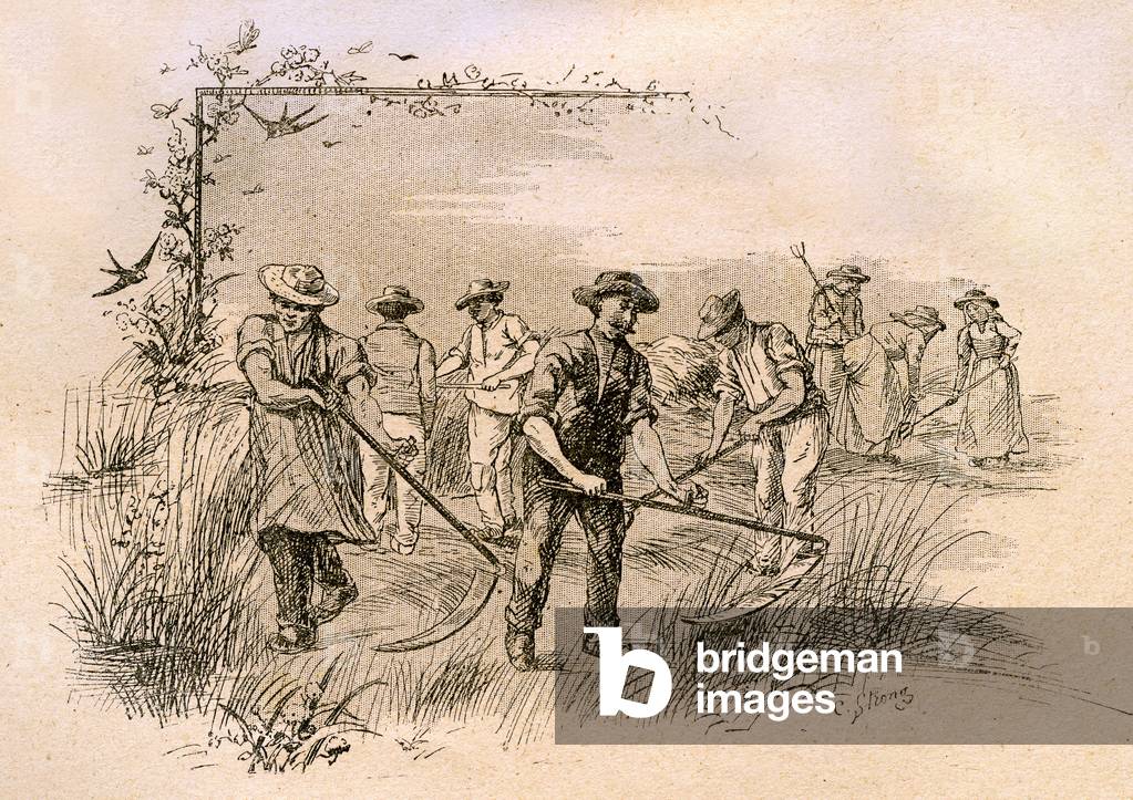 hay: hay reapers. Engraving by Strong for the book “Stay in the fields”” by L. Magnier, late 19th century.