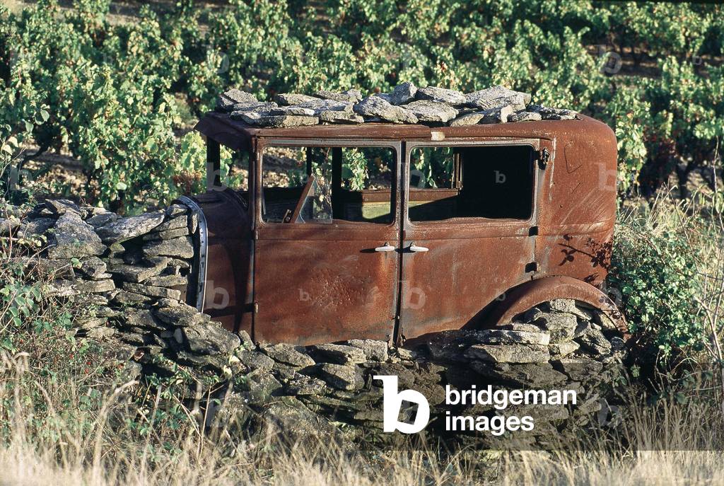 Old car carcass transformed into a vineyard shed - Languedoc - France