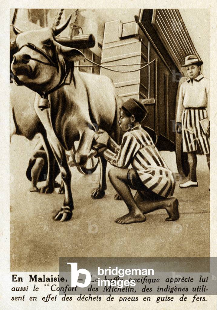 Advertising card of the Michelin Brothers at the beginning of the 20th century: “In Malaysia, the Pacific buffalo also appreciates the comfort of the Michelin. People use tire waste as irons.” Tyre, pneumatic, industry, colony, colony, colonialism -
