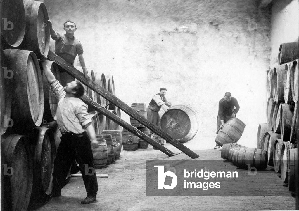 Winery Michel Sabatier in Carcassonne. 1907 (b/w photo)