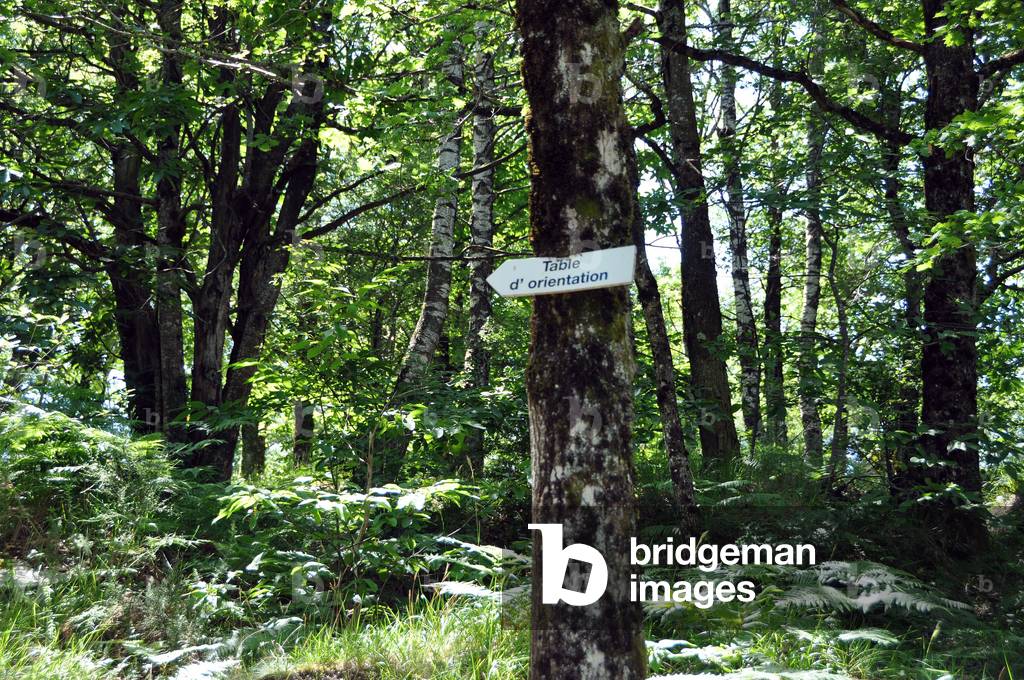 Parc du Sidobre - France - Tarn - Midi-Pyrenees region: walking path in undergrowth with indicator sign to the orientation table. Photo by Patrice Cartier