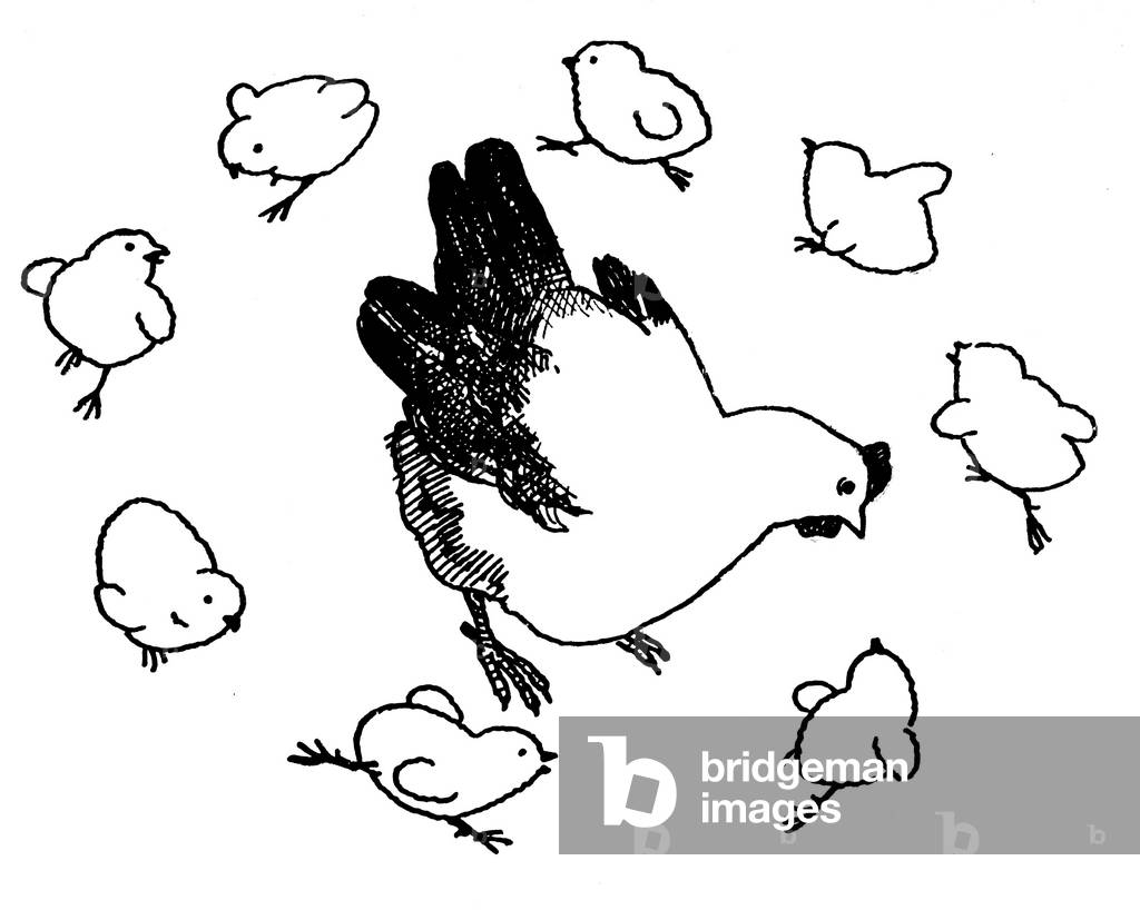 Chicks dancing a round around the mother hen - illustration by Maggie Salcedo (1890-1959) for the book “” La Poesie a l'Ecole””, Delagrave 1937.