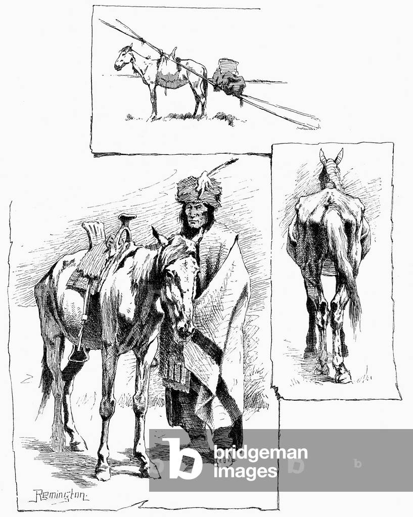 Wild and domestic horses of America in “Century Illustrated Monthly Magazine”, 1888-1889