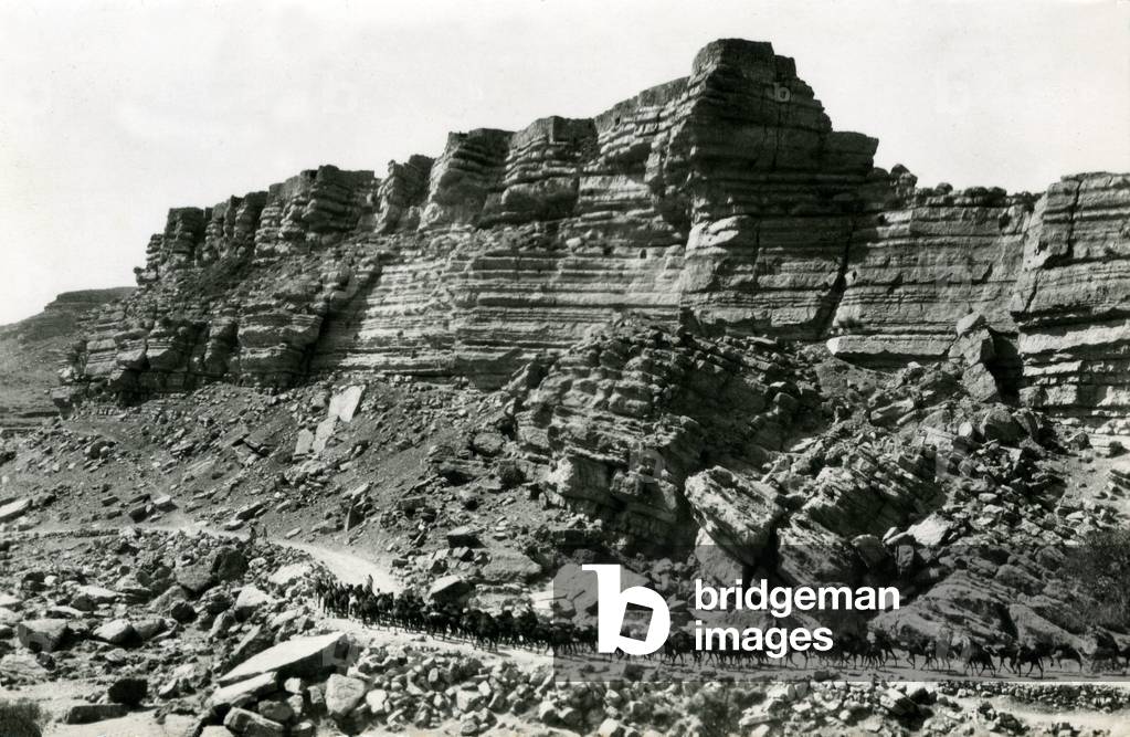 Camel caravan on a track in the Aures, c.1950-60 (postcard)