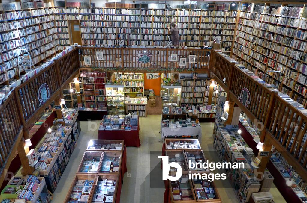 Great bookstore of old books at the Sommail, 2021 (photography)