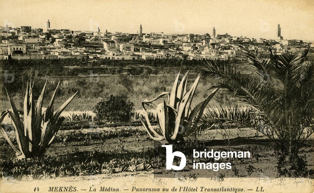 Meknes, imperial city of Morocco at the beginning of the 20th century (between 1920 and 1930) - the Medina: general view - panorama from the Hotel Transatlantic with palm tree and agave in the foreground - postcard Levy and Neurdein -