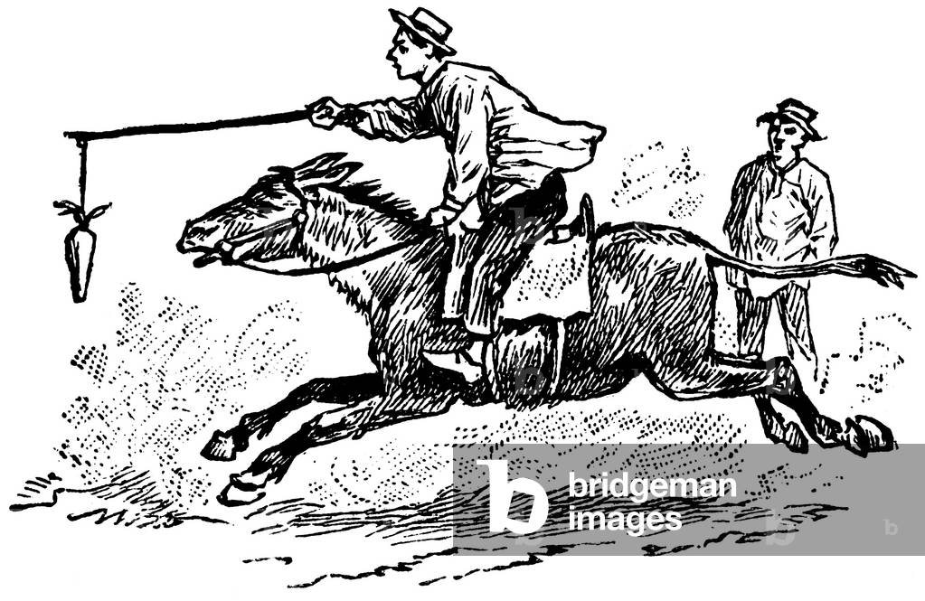 Man galloping on a donkey he pushed (running) by means of a carrot attached to the end of a stick. Can illustrate the expressions “” carrot and stick”” and “” tender a carrot””” (promise a reward). Illustration of a school book early 20th century.
