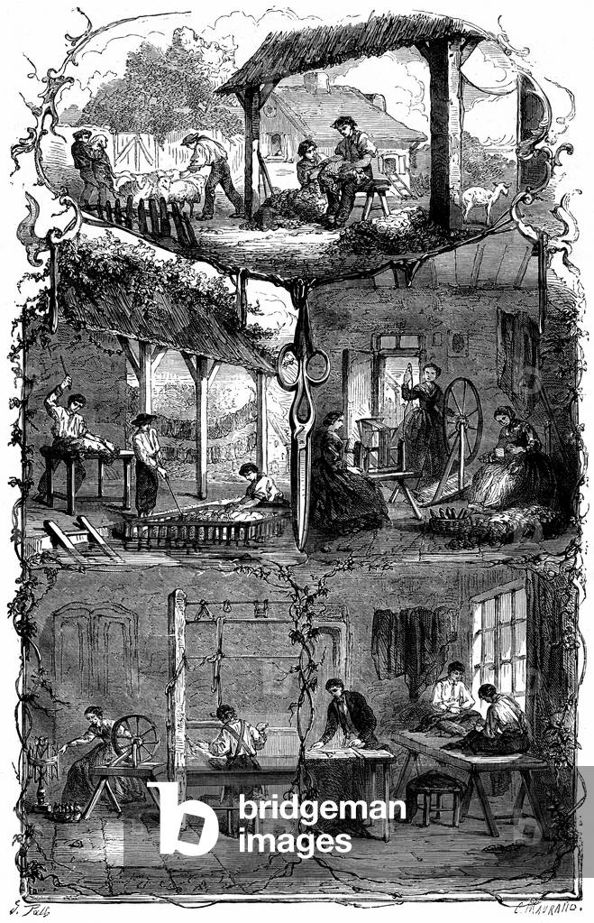 Wool working - Sheep cutting - carding - washing - spinning - weaving - illustration of 