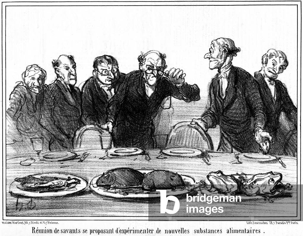 Meeting of scientists proposing to experiment with new food substances - meal consists of plates containing animals: lezards, rats and frogs (lezard, rat, frog) - food, food scandal, food - caricature of Daumier in the Charivari (series Les Hippophages 1856) mid 19th century -