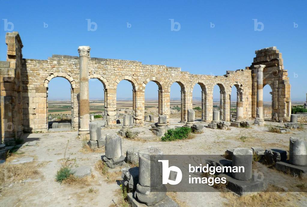 Roman ruins of Volubilis, Roman archaeological site, Unesco World Heritage near Meknes, Morocco - the Forum - Roman archaeological site of Volubilis, UNESCO World Heritage Site, Meknes region, Morocco, North Africa, Africa - Photo Patrice Cartier -