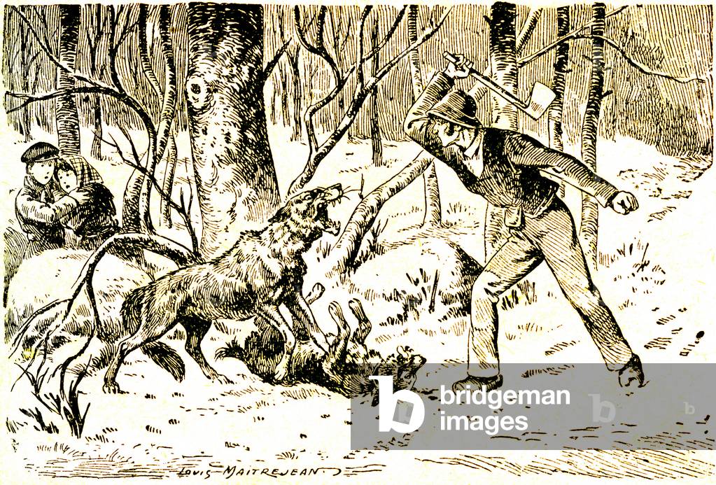 A woodman threatens with his axe the wolf who has just killed his dog, under the fear of his children. Illustration by Louis Maitrejean (1895-1947) for a school book of 1930.