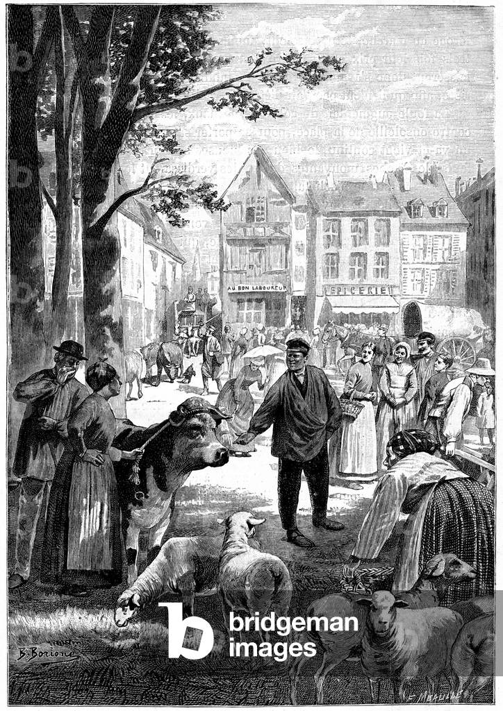 Walking day (with cattle) on a village square in the 19th century. Illustration by Borione for the novel by Em