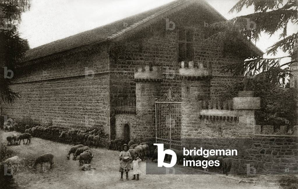 Saint-Bonnet-le-Froid, the return of herds to the farm, at the beginning of the twentieth century (b/w photo)