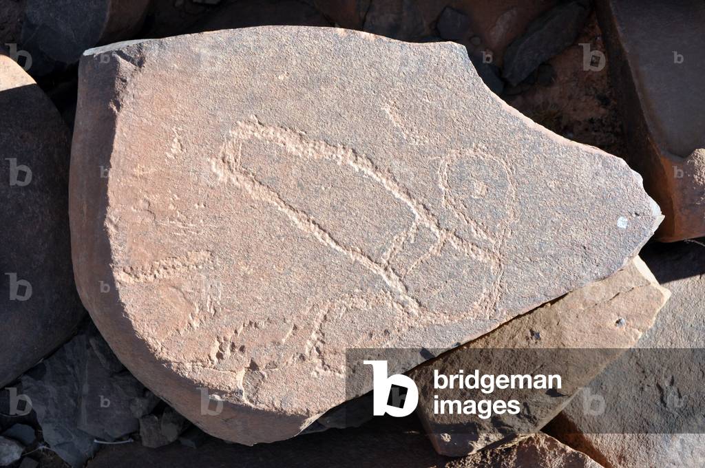 South Morocco - Anti-Atlas: prehistoric site of Adrar Zerzem (Adrar n Zerzem) near Taghjijt - rock engraving approx. 2000 to 3000 BC - These motifs may represent a trap intended to capture animals - Photo Patrice Cartier