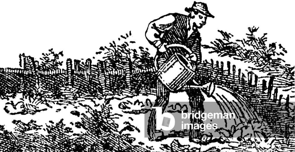 Gardener watering his garden with a watering can - illustration of a school book early 20th century.