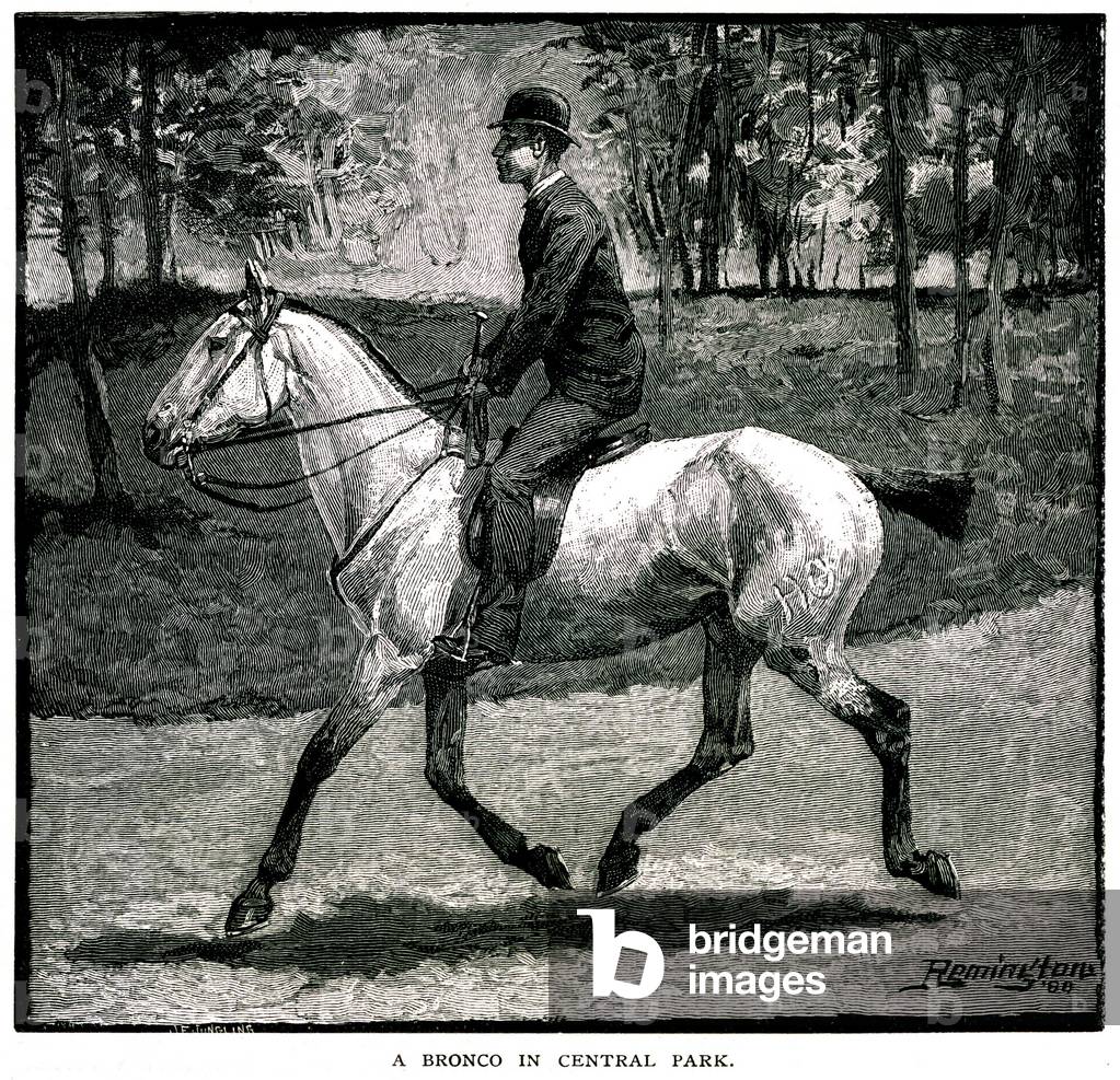Gentleman riding a Bronco in Central Park, NYC, 1888-89 (engraving)