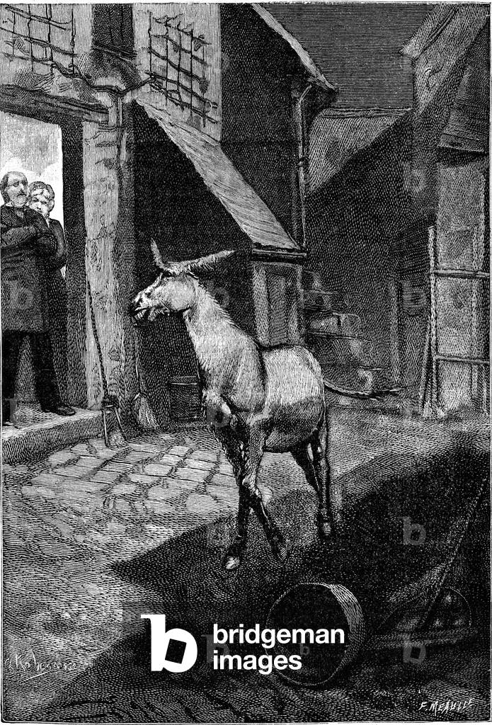 Engraving illustrating the novel by Emile Zola “La terre””, edition Marpon and Flammarion 1889. Drunk Gedeon donkey, after drinking a bucket of wine. Illustration by Georges Antoine Rochegrosse (1859-1938).