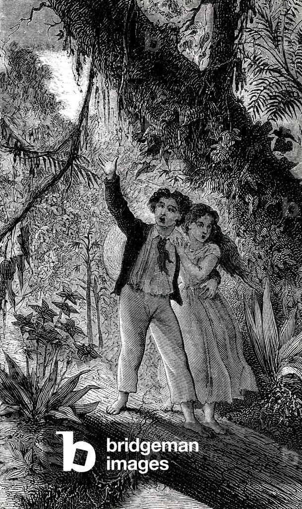 Engraving illustrating a late 19th century edition of the novel by Jacques-Henri Bernardin de Saint Pierre (Jacques Henri Bernardin de Saint-Pierre): Paul et Virginie. The young couple of lovers in the forest.