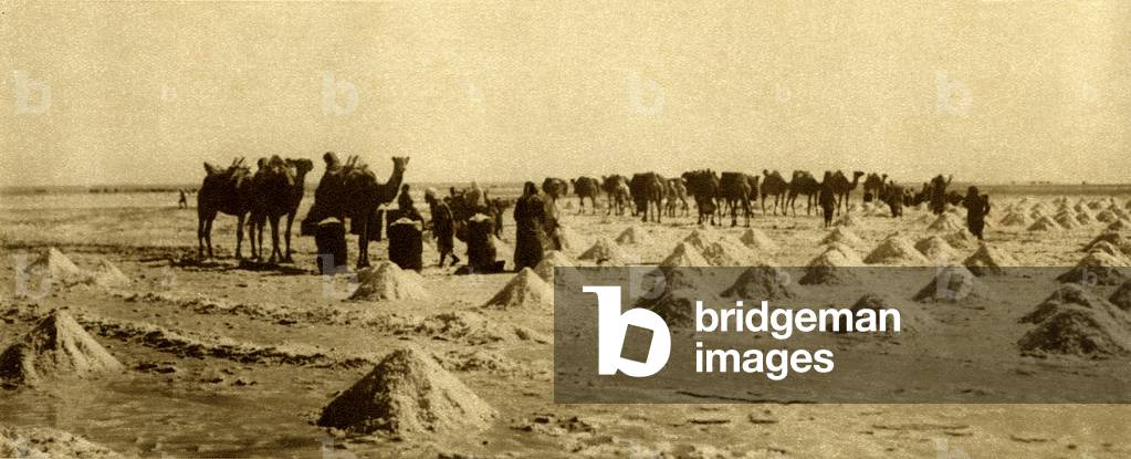 Collect rock salt on Lake Djebboul, 45 km south east of Aleppo (Syria) around 1925. The salt is collected in small piles and then load on camels (camels). The annual production of this farm was 15 million kilograms.