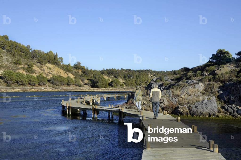 Peyriac-de-Mer (11, Aude, Languedoc, Occitanie, Mediterranee): pond du Doul, last hypersalee lagoon on the Mediterranean coast - natural water whose water is 2 to 3 times more salty than that of the sea, layout with walkways for the promenade - Conservatoire du littoral, Parc de la Narbonnaise, saline, salt - Photo Patrick Artier -