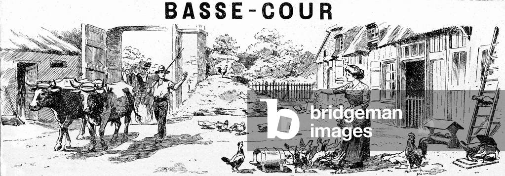 farm yard with farmer and farmyard (poultry: ducks, chickens, rooster), and hitch of oxen returning to the stable. Engraving from the catalogue of the Manufacture Francaise d'armes et Cycles de Saint Etienne, 1913.