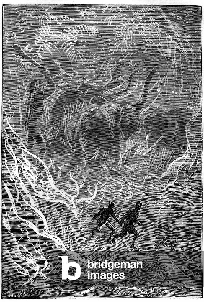 Illustration by Riou of Jules Verne's novel “” Journey to the Centre of the Earth””: a giant guardian of a herd of mammoths - edition HETZEL 1867