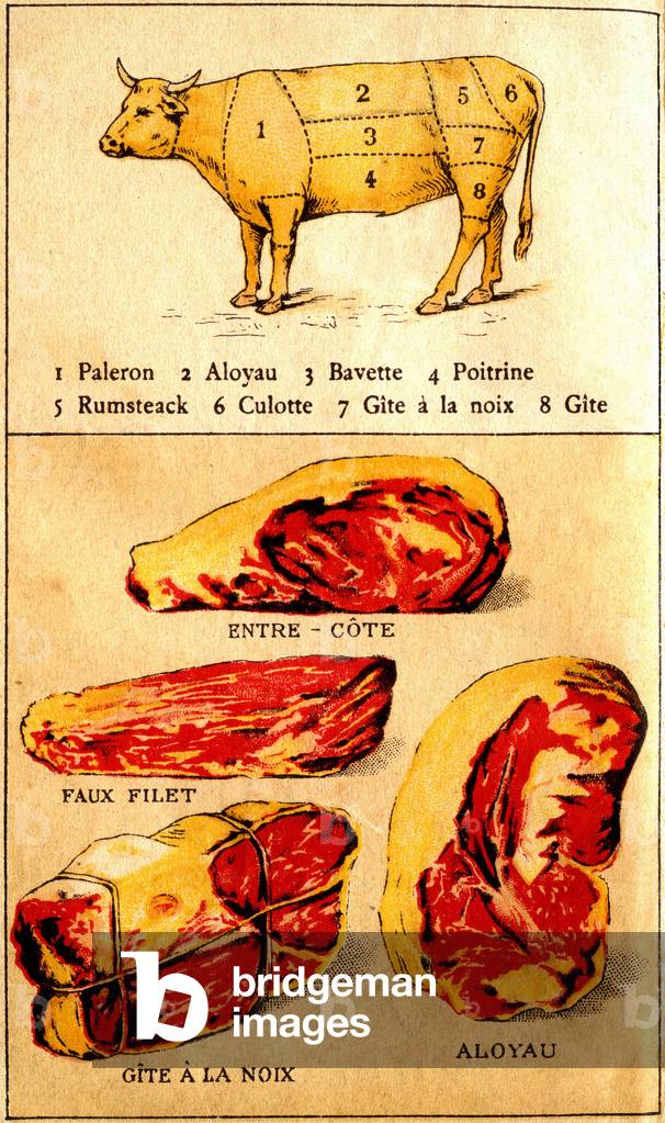 "Piatto dal libro «Le cuisinier Europeen»»" 1901
