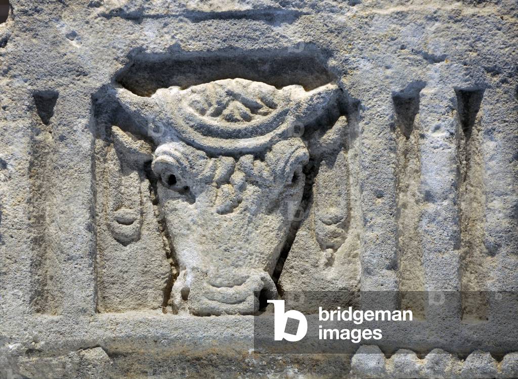 Beef or bull head decorated with a garland. (Roman Sculpture)