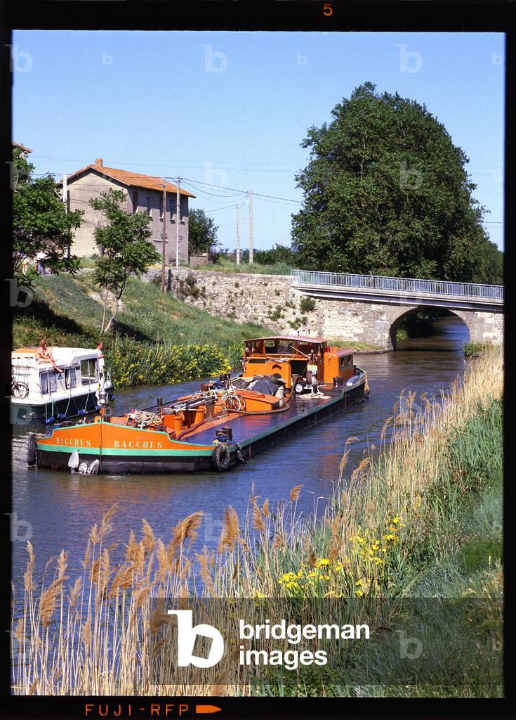 The Bacchus last pinardier (peniche carrying wine) during one of his final trips on the Canal du Midi (Canal des deux mers) in 1986. Here he meets a tourist boat (pleasure) in the Minervois country, at the edge of the departments of the Aude and the Herault (Occitanie - Languedoc). Photo by Patrice Cartier